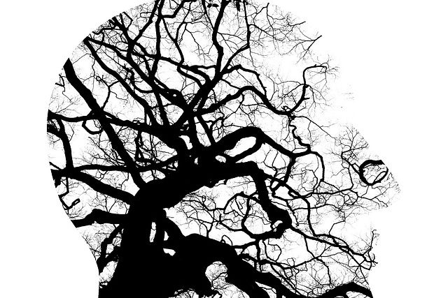 A Meta-Analysis of Psychodynamic Psychotherapy Outcomes