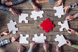 From Data to Intervention: Four International Case Studies of Practice-Research Networks in Mental Health