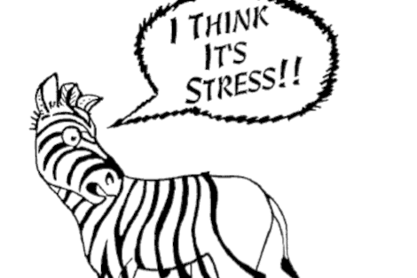 Distress, Therapist Burnout, Self-Care, and the Promotion of Wellness for Psychotherapists and Trainees