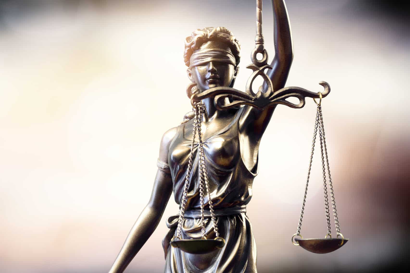 Social Justice, Advocacy, and Early Career Practice