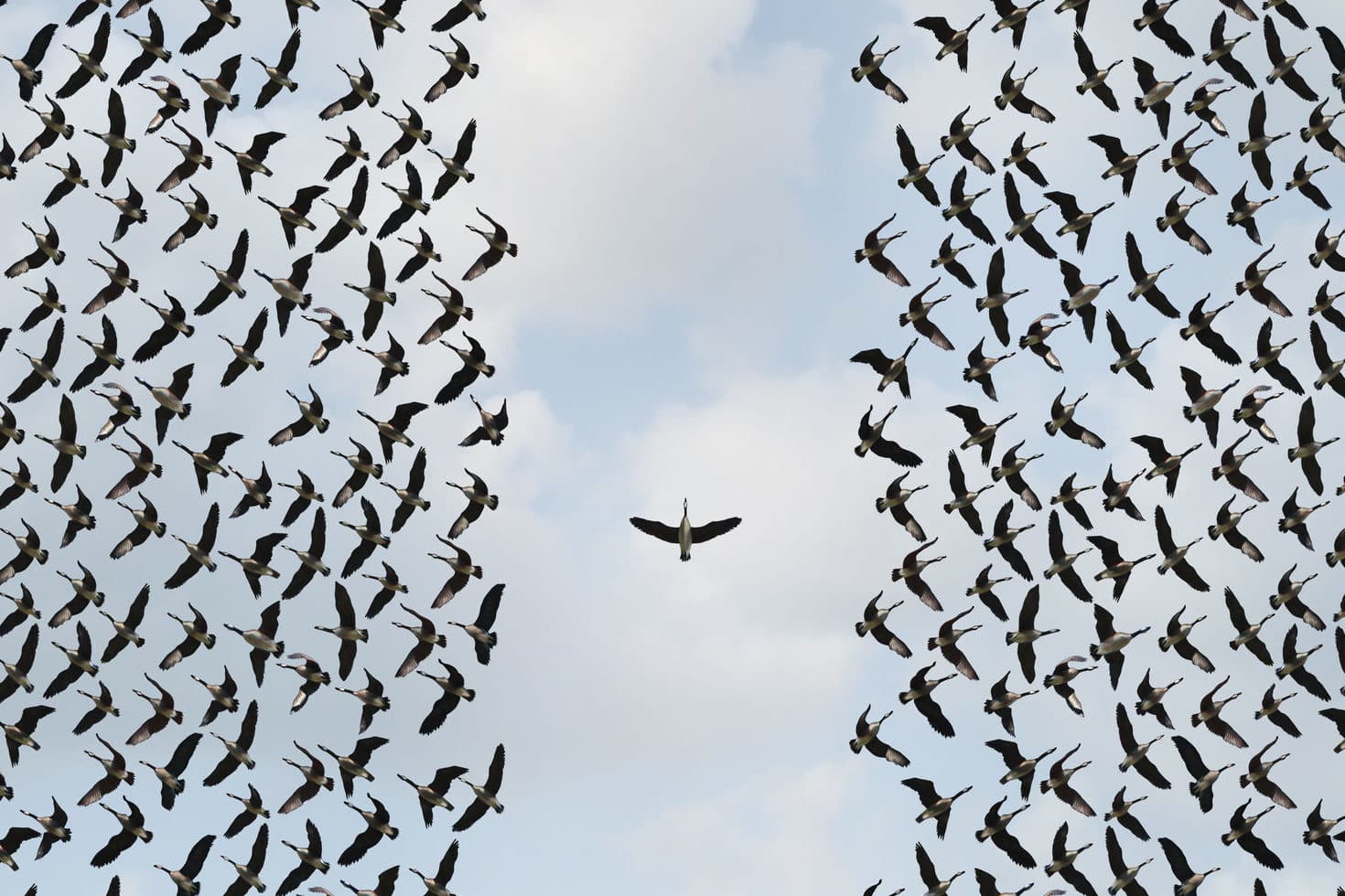 Uncovering Trainable Therapist Effects
