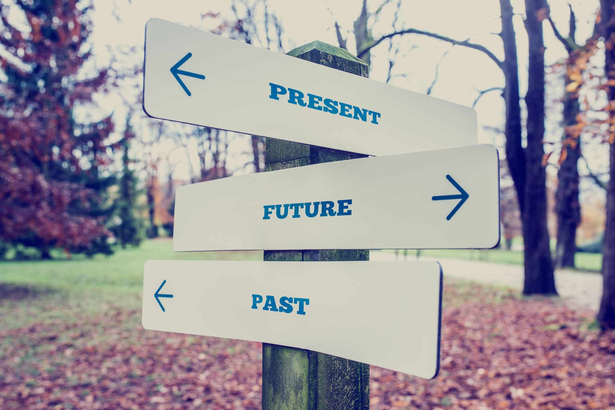 Recursive and Emerging Themes in Psychotherapy