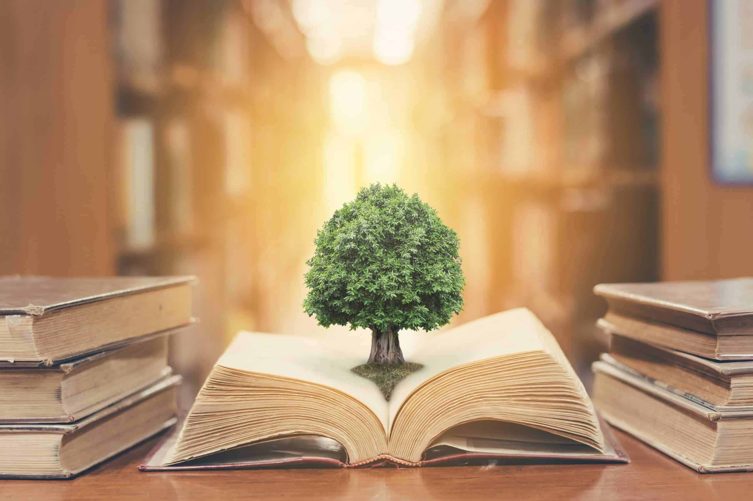 The Climate and Environmental Crisis: A Primer for Psychologists