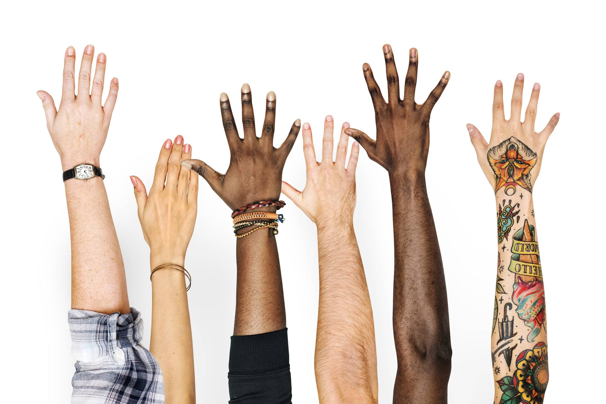 Progress Feedback in Group Therapy