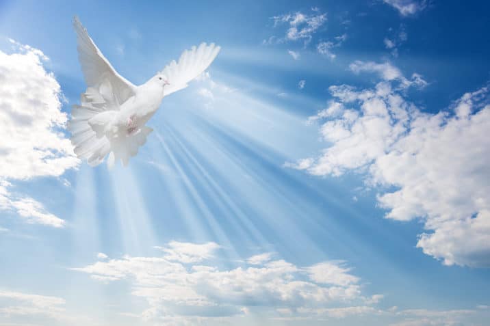 Exploring the Downstream Effects of Silence Around Religion and Spirituality in Counseling Training Programs
