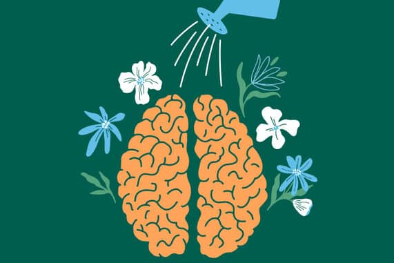 Empirically-Derived, Personal Theory of Therapeutic Change